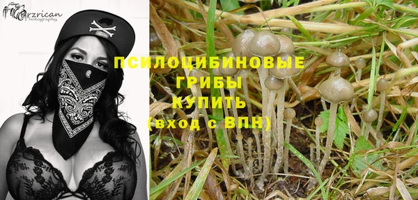спиды Заволжье